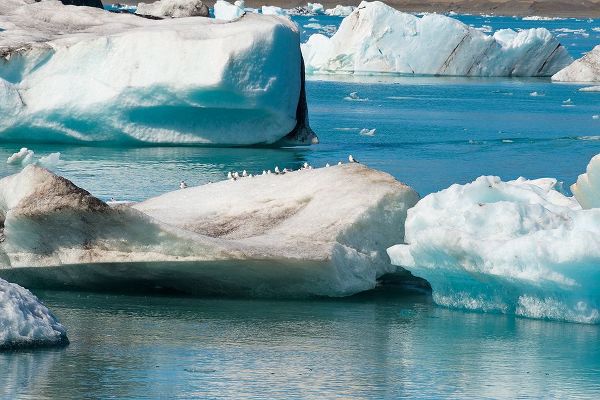 Su, Keren 아티스트의 Icebergs in Jokulsarlon Glacial Lagoon-Iceland작품입니다.